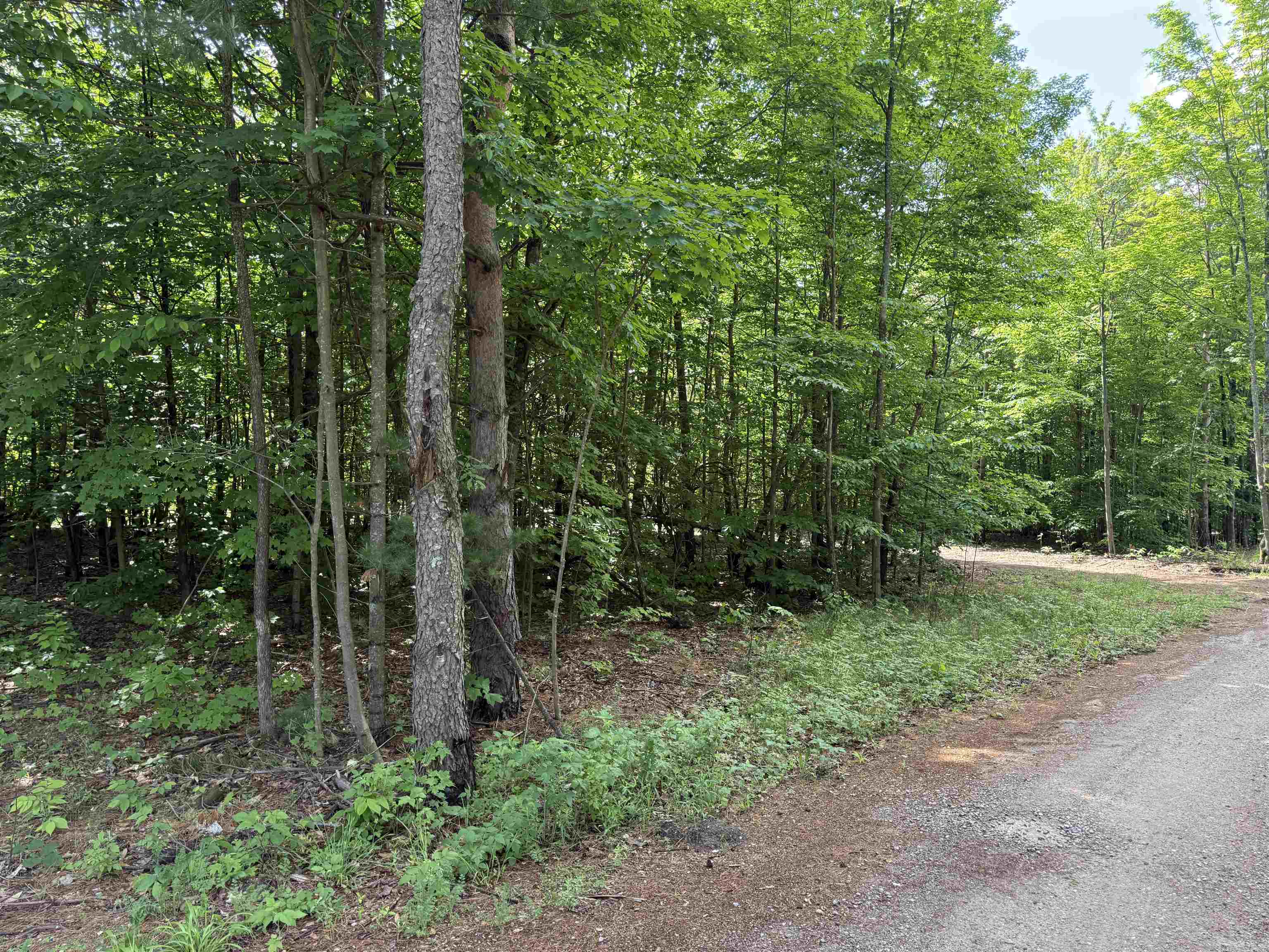 19493 Paradise Ridge Trail Cedar, MI 49684 - Photo 17 of 19