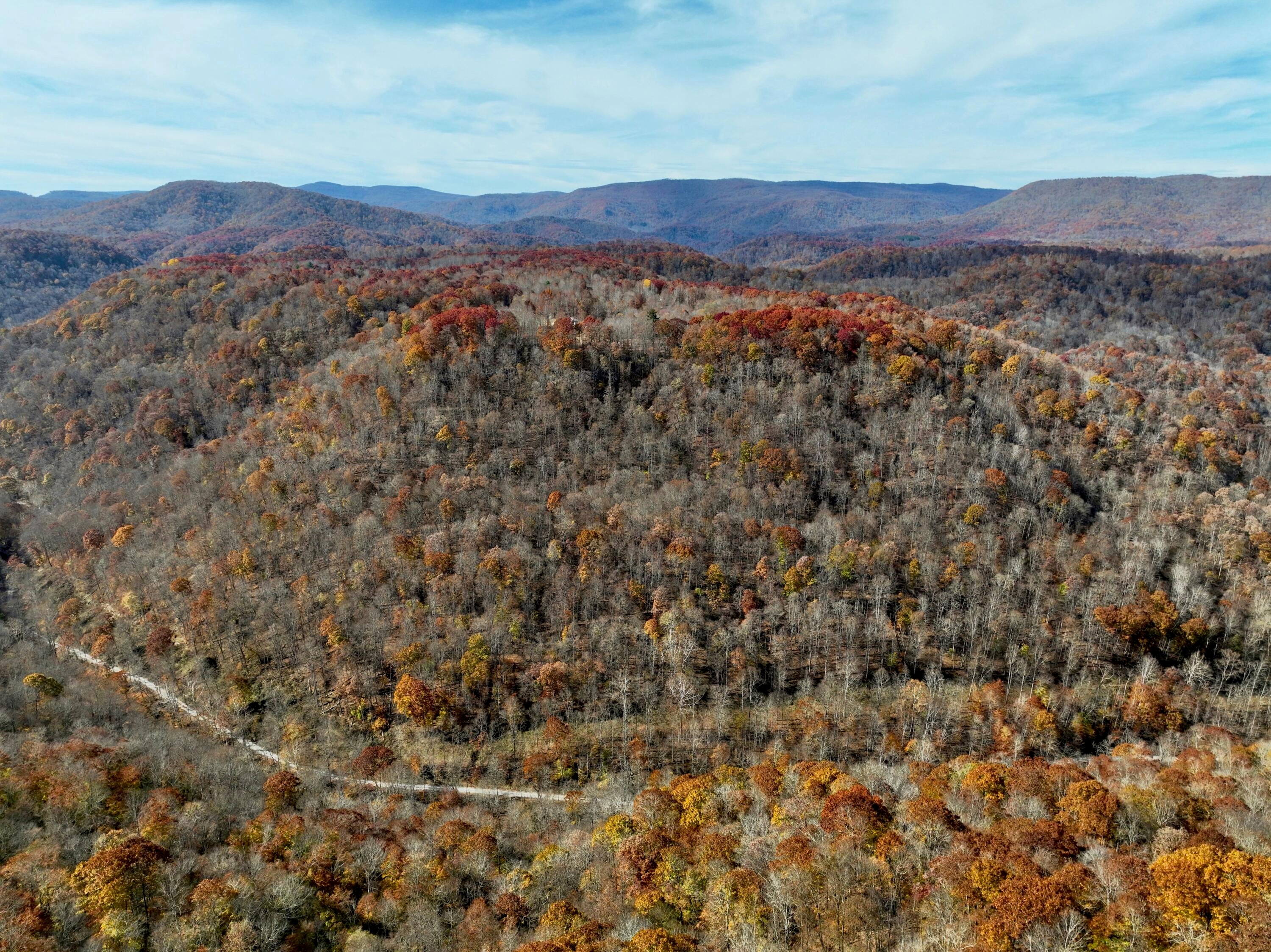 Robins Fork Road Renick, WV 24966 - Photo 5 of 34 Gallery Image 5