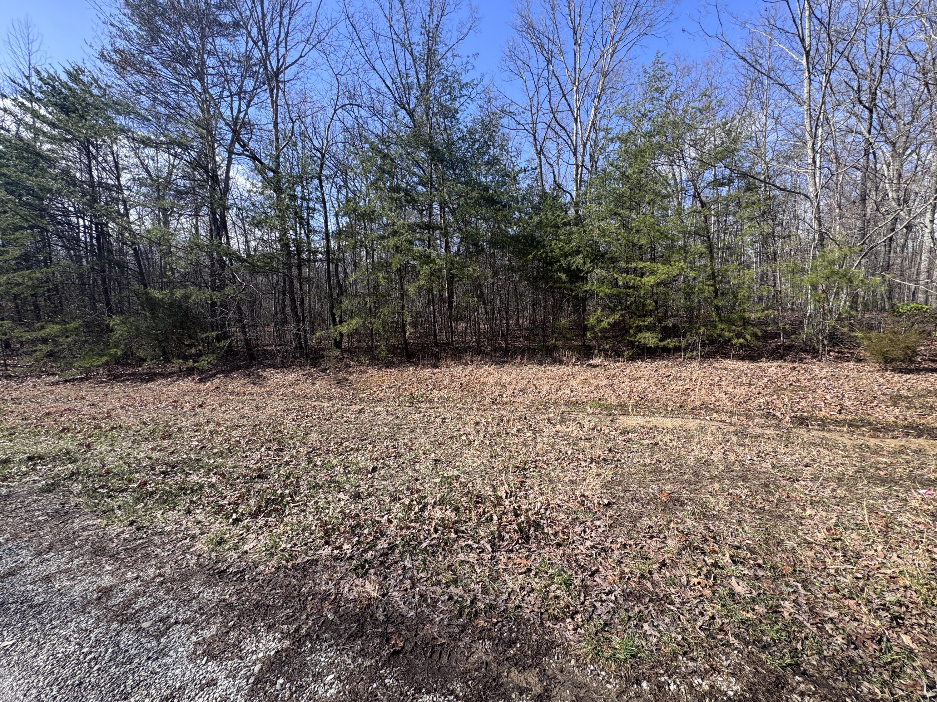 0 Mount Laurel Road Pikeville, TN 37367 - Photo 1 of 21 IMG_1641