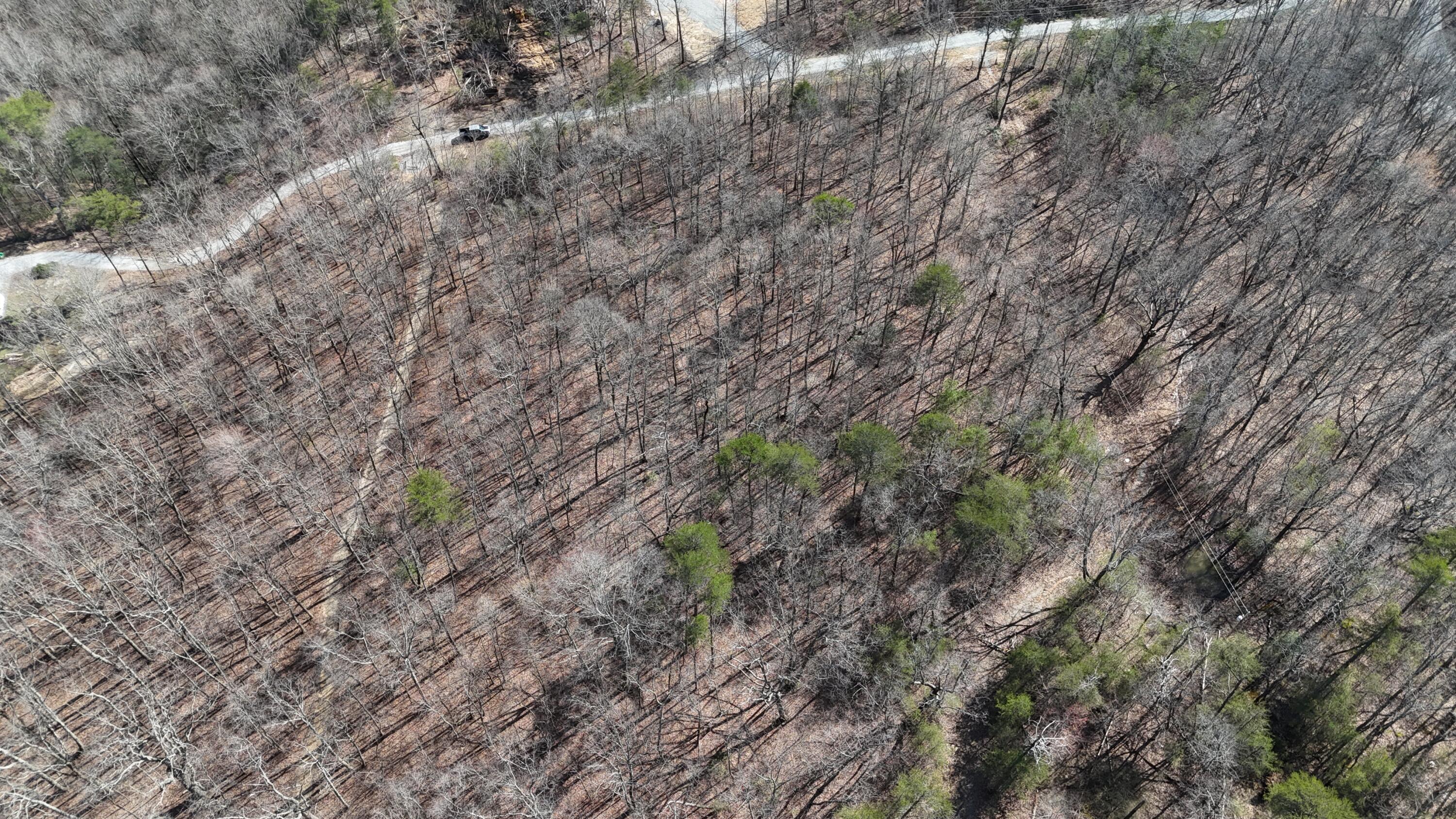 0 Mount Laurel Road Pikeville, TN 37367 - Photo 13 of 21 dji_fly_20250316_163254_0321_17422186131