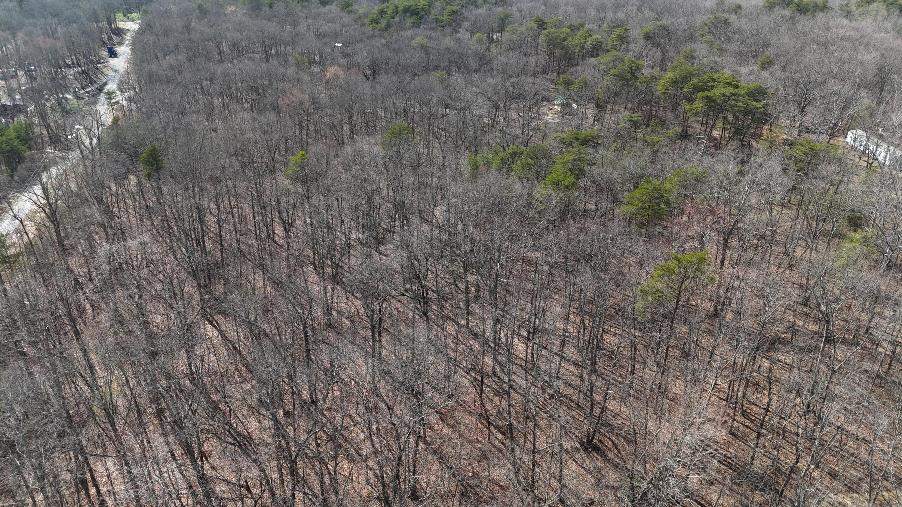 0 Mount Laurel Road Pikeville, TN 37367 - Photo 21 of 21 dji_fly_20250316_163104_0316_17422186225