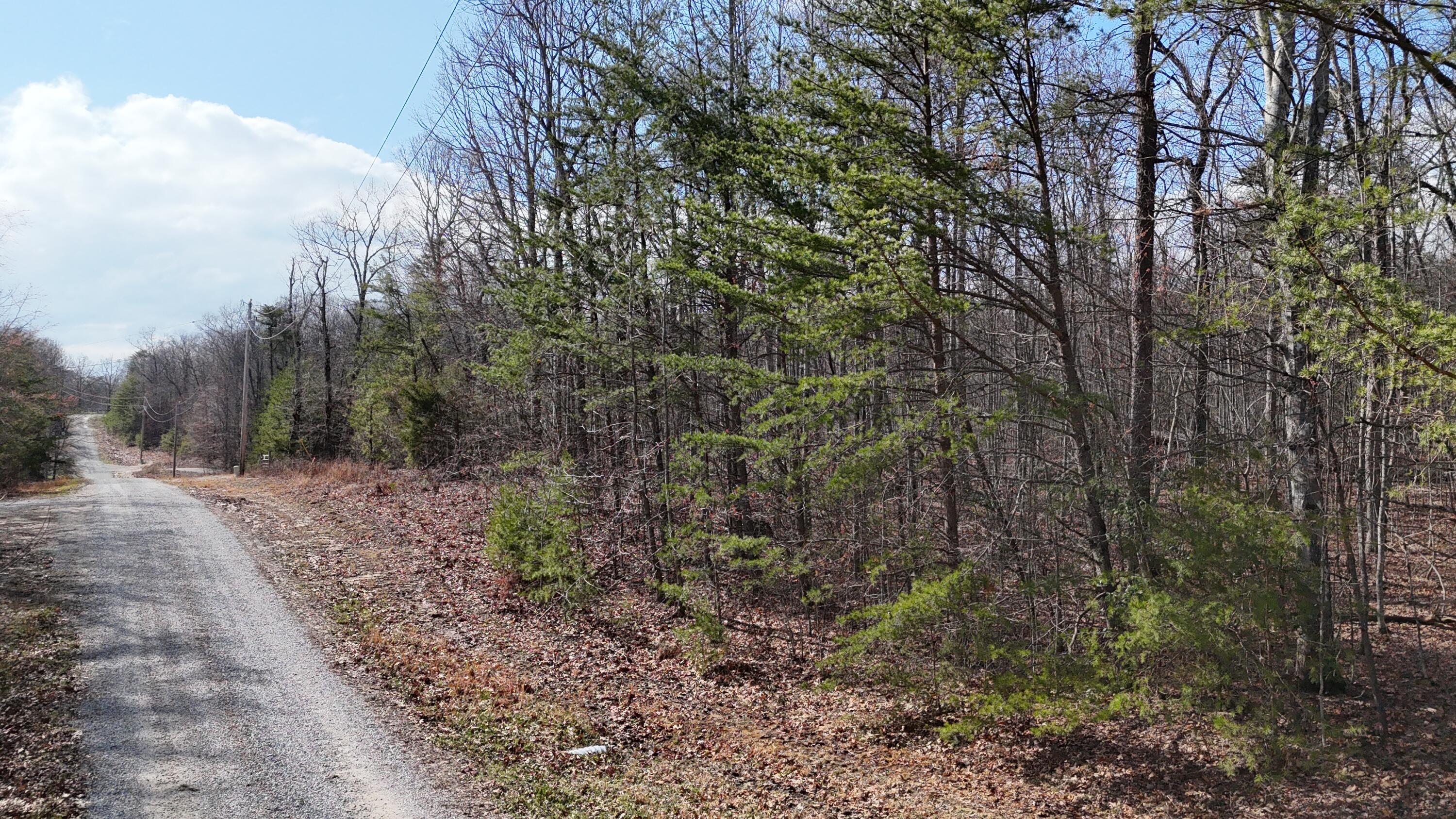 0 Mount Laurel Road Pikeville, TN 37367 - Photo 4 of 21 dji_fly_20250316_162914_0310_17422186334