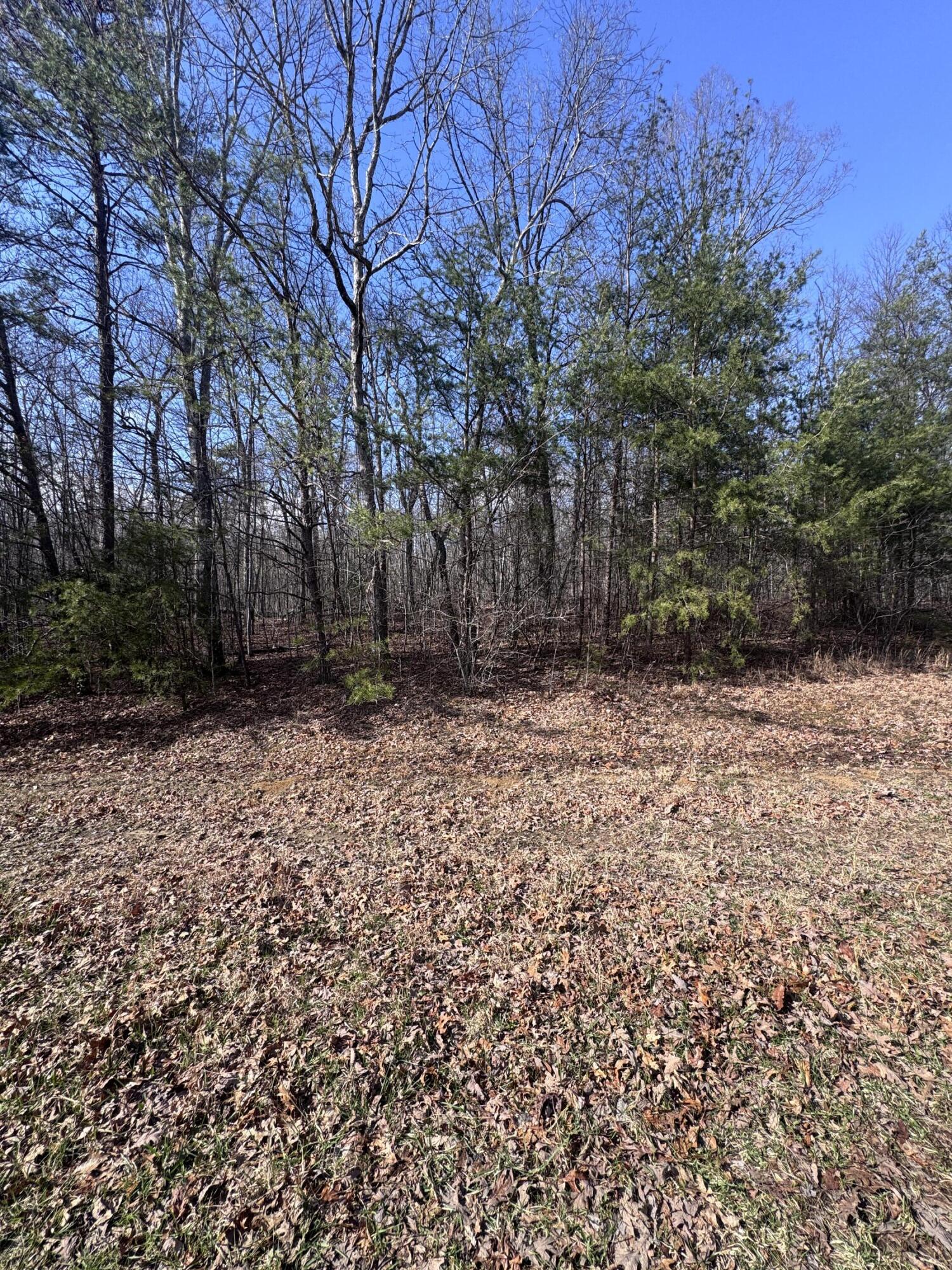 0 Mount Laurel Road Pikeville, TN 37367 - Photo 7 of 21 IMG_1644