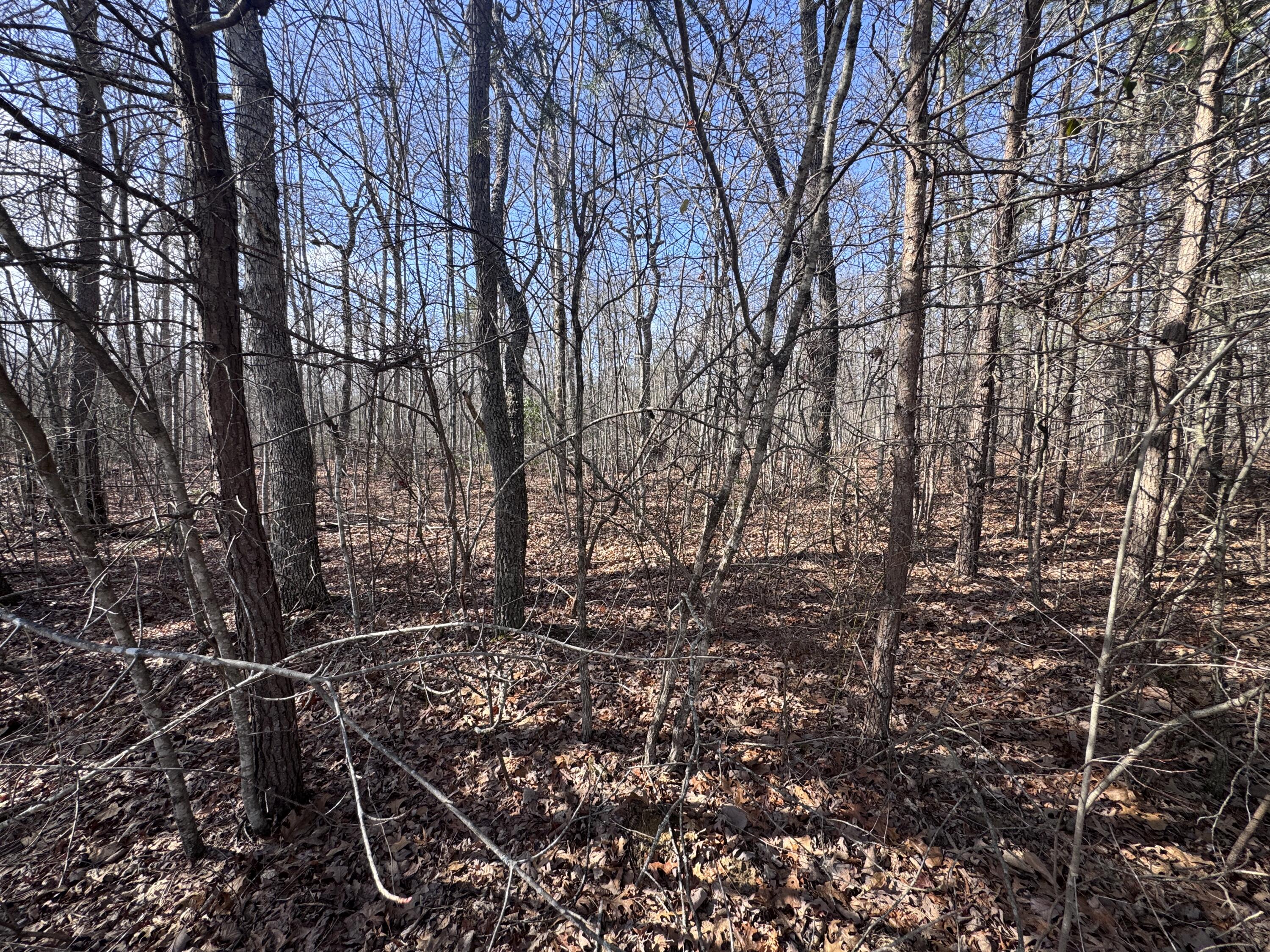 0 Mount Laurel Road Pikeville, TN 37367 - Photo 8 of 21 IMG_1642