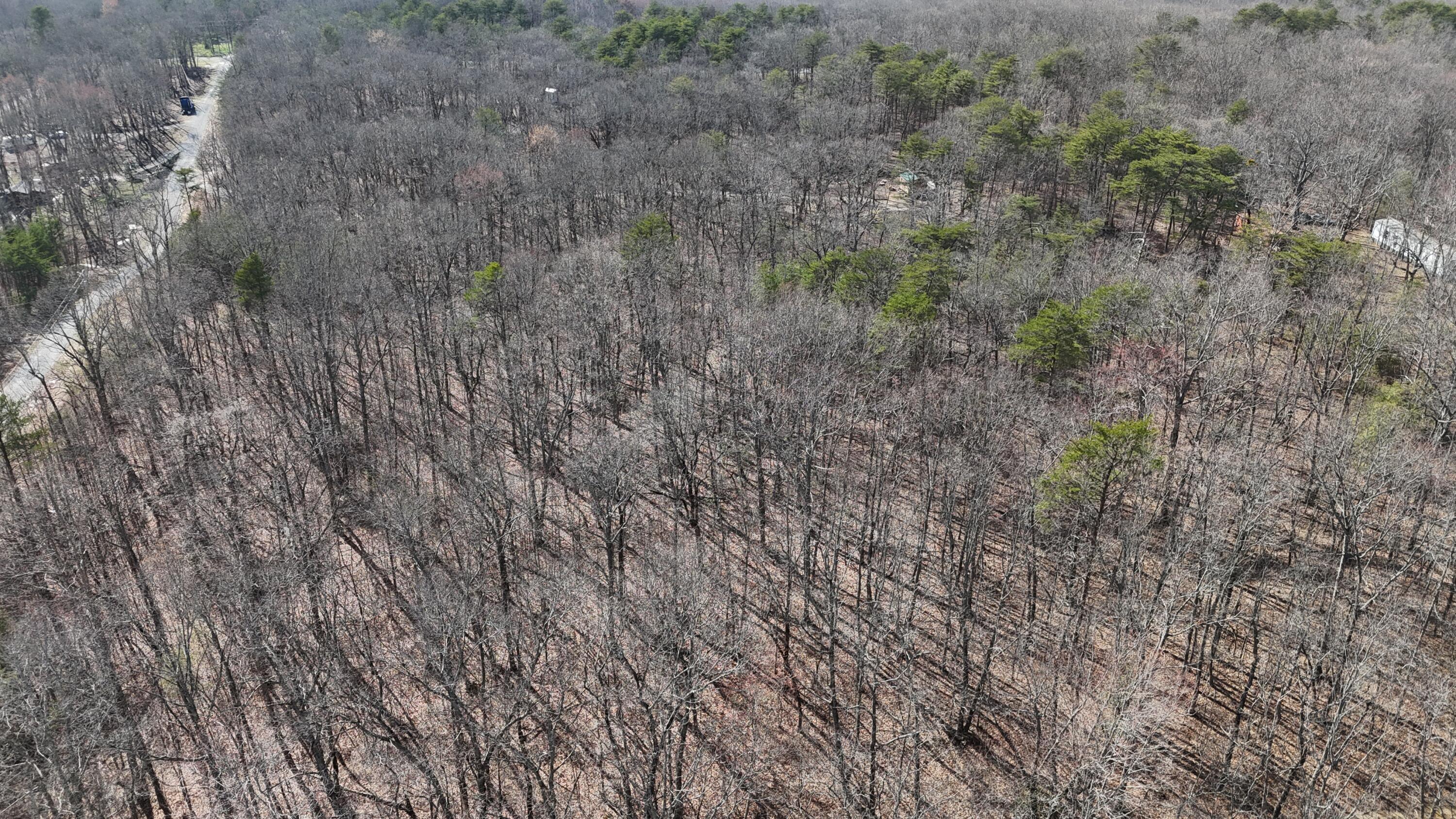 0 Mount Laurel Road Pikeville, TN 37367 - Photo 9 of 21 dji_fly_20250316_163106_0317_17422186211