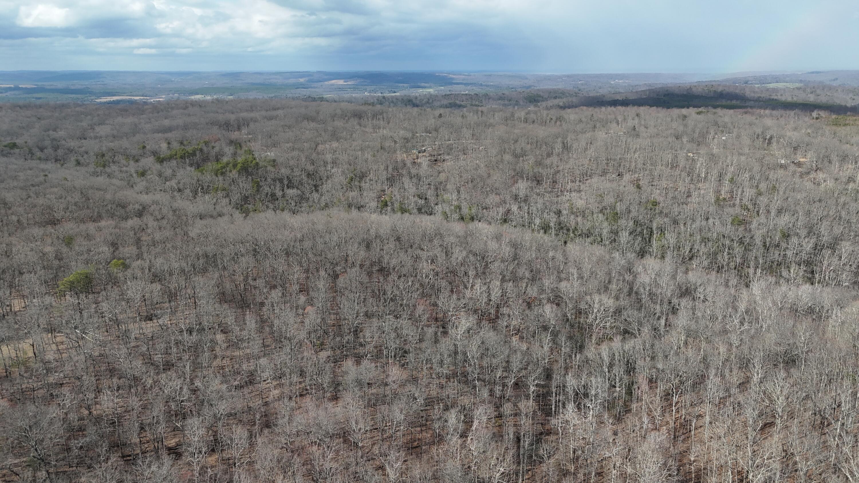0 Mount Laurel Road Pikeville, TN 37367 - Photo 10 of 21 dji_fly_20250316_163148_0318_17422186171