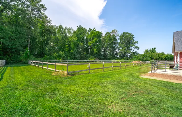a view of a park with a big yard