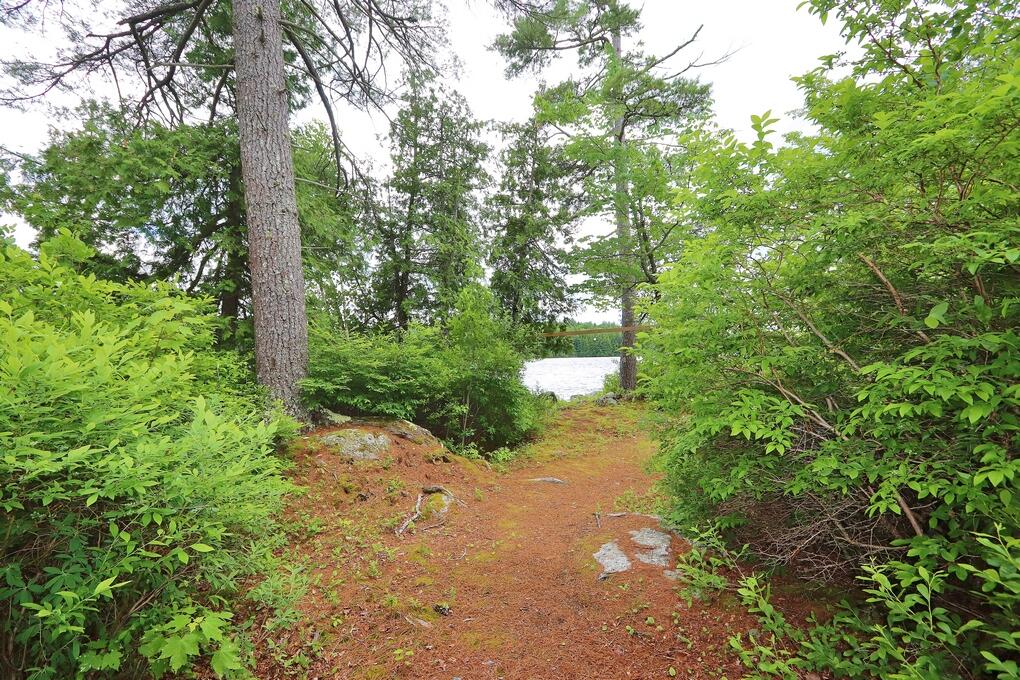 769 Green Lake Road Dedham, ME 04429 - Photo 50 of 55 IMG_6961 (Copy)