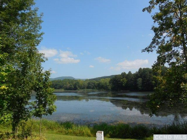 1512 Lakeview Road Copake, NY 12516 - Photo 3 of 10 Photo 3