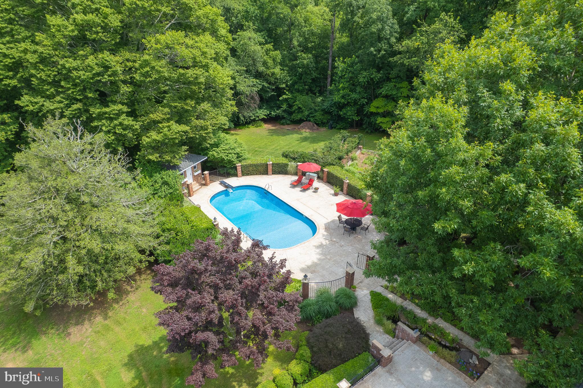 916 Upper Pindell Road Lothian, MD 20711 - Photo 12 of 111 Lovely garden area behind the pool