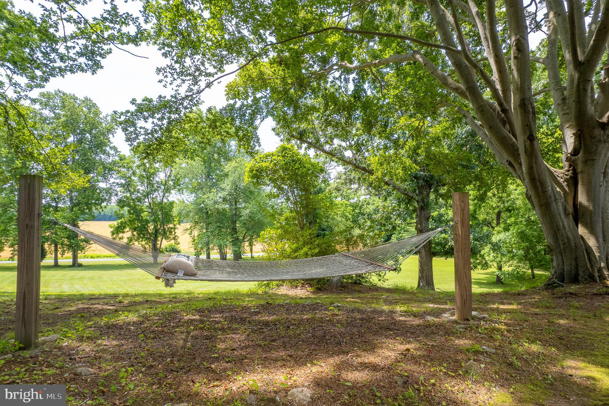 916 Upper Pindell Road Lothian, MD 20711 - Photo 21 of 111 Relax in the privacy of your front yard
