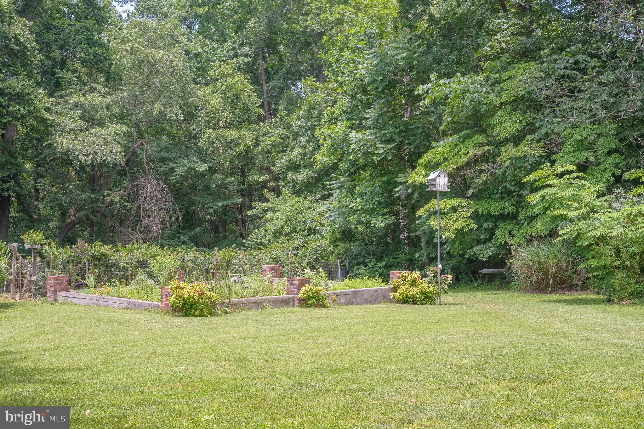 916 Upper Pindell Road Lothian, MD 20711 - Photo 37 of 111 Garden and Blackberry Grove
