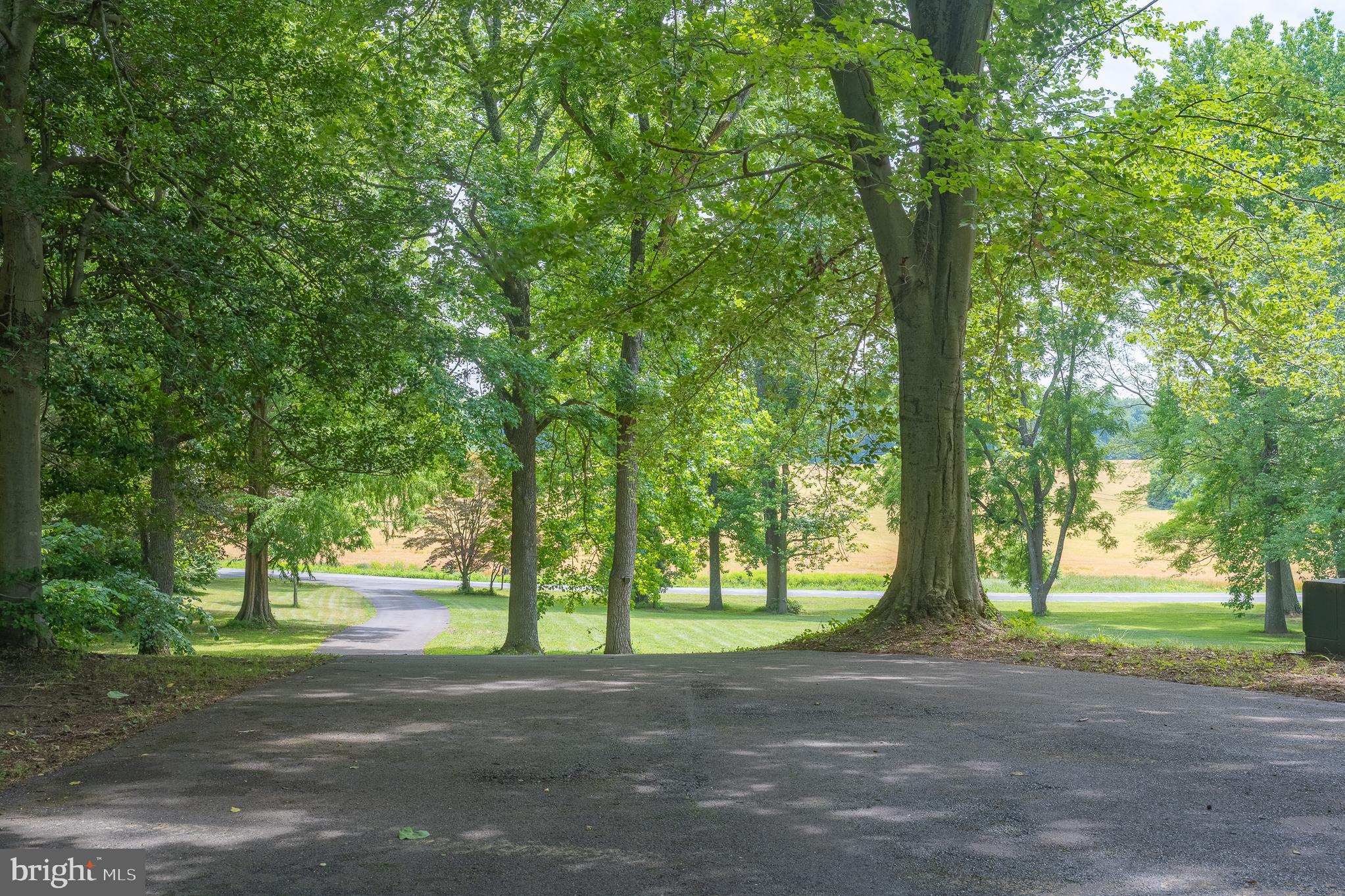 916 Upper Pindell Road Lothian, MD 20711 - Photo 39 of 111 Long tree lined driveway