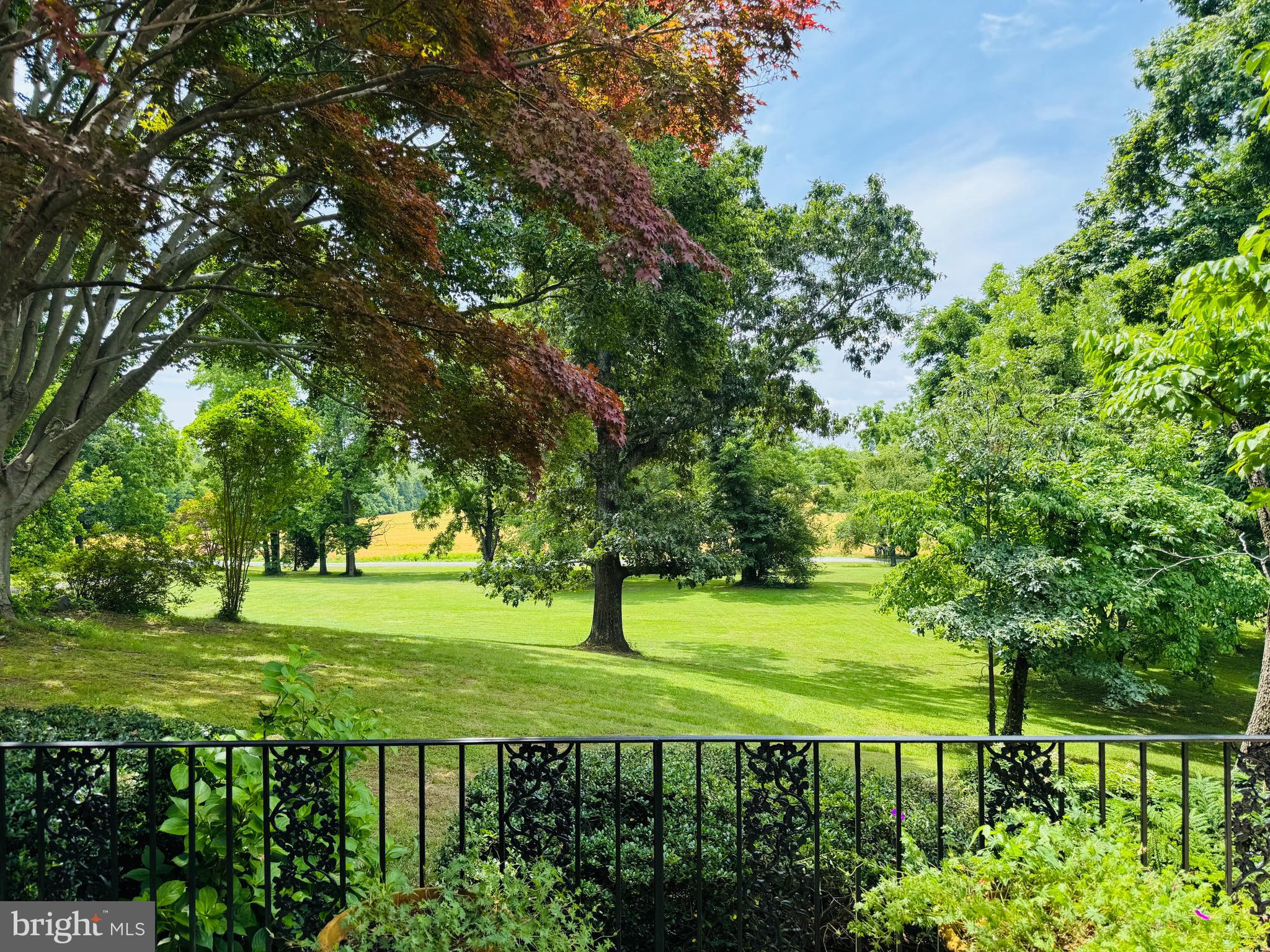 916 Upper Pindell Road Lothian, MD 20711 - Photo 5 of 111 View from the front door