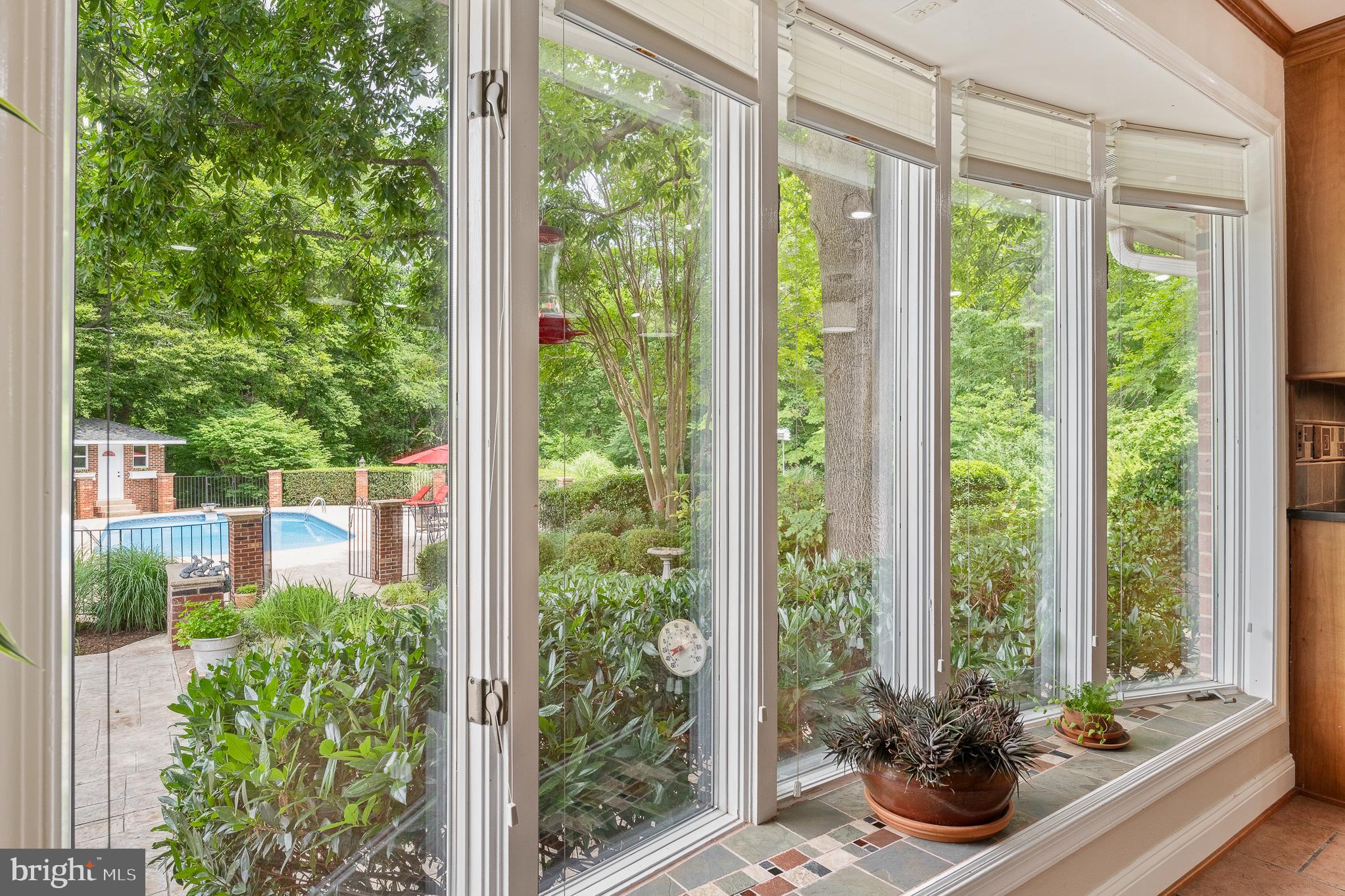 916 Upper Pindell Road Lothian, MD 20711 - Photo 59 of 111 Bird watchers' paradise