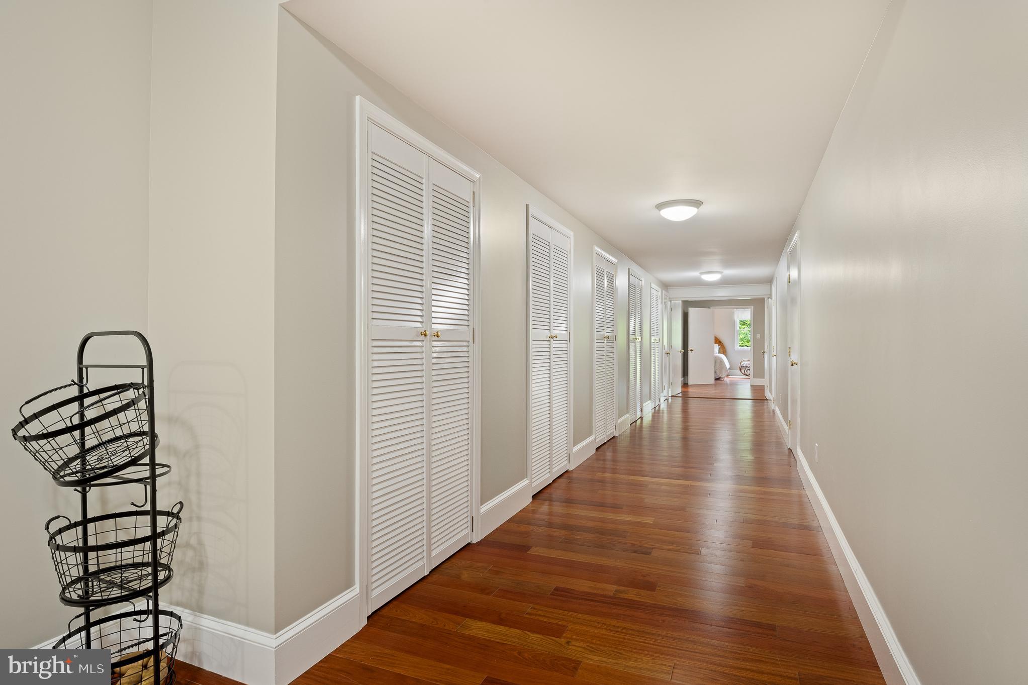 916 Upper Pindell Road Lothian, MD 20711 - Photo 99 of 111 Long hallway of shelved storage