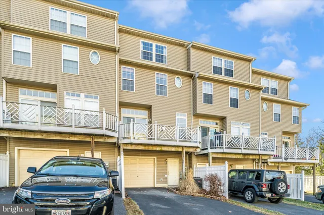a view of a park with a tree