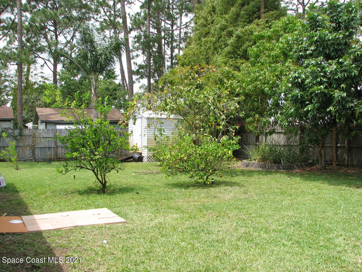 5210 Holden Road Cocoa, FL 32927 - Photo 25 of 28 Back yard
