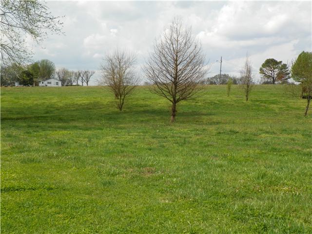 315 Main Street Springfield, TN 37172 - Photo 13 of 13
