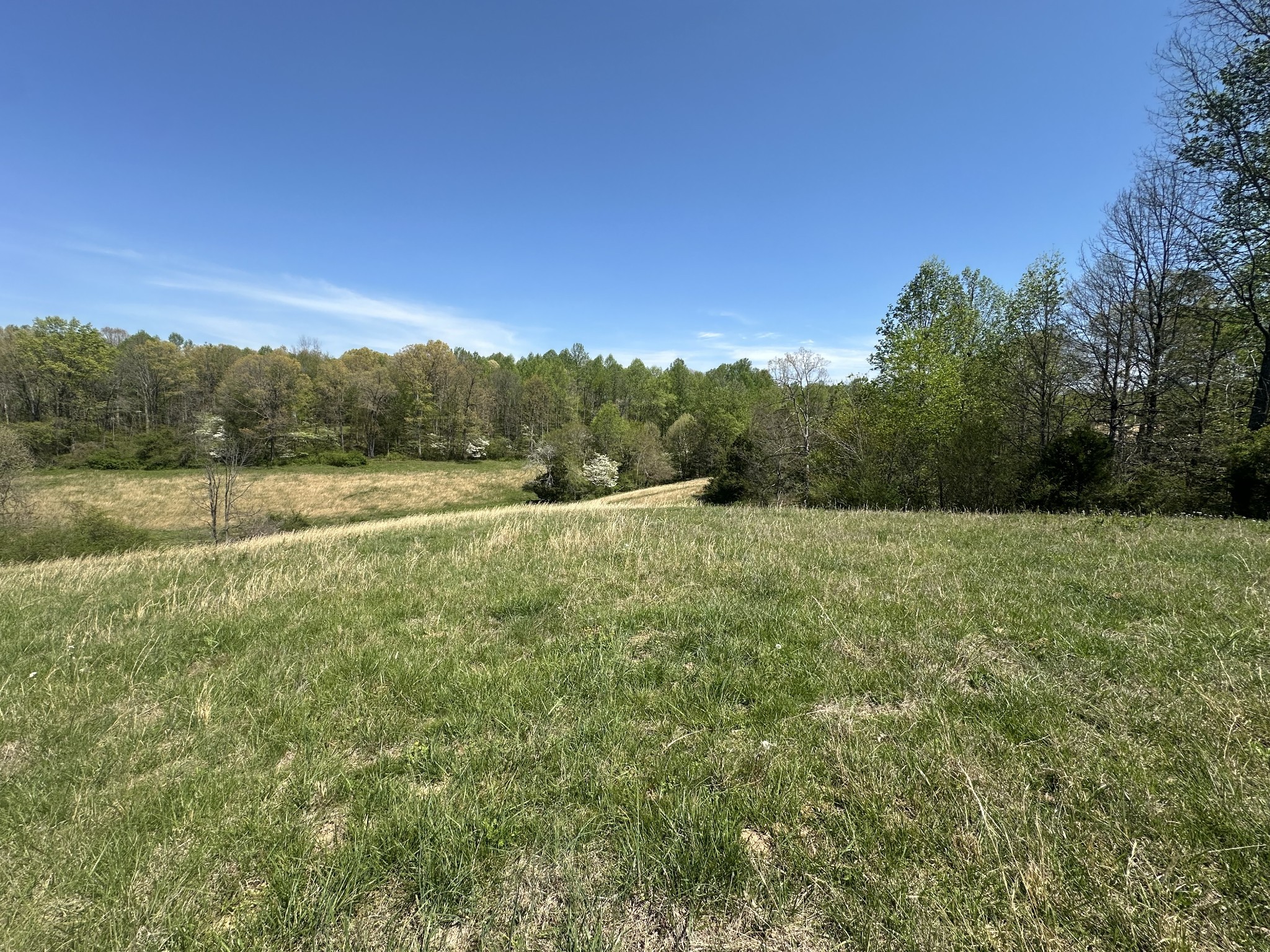 515 Jericho Road Quebeck, TN 38579 - Photo 16 of 54 Gallery Image 16