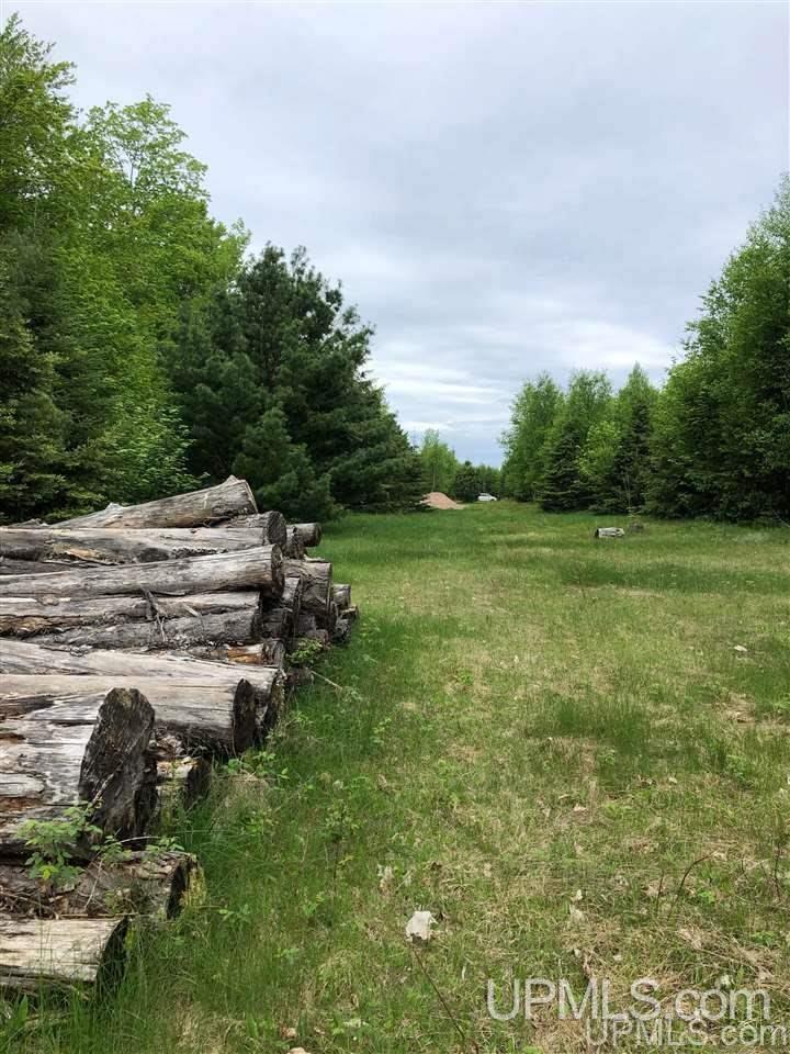 Tbd Will Pryor Road Big Bay, MI 49808 - Photo 4 of 18