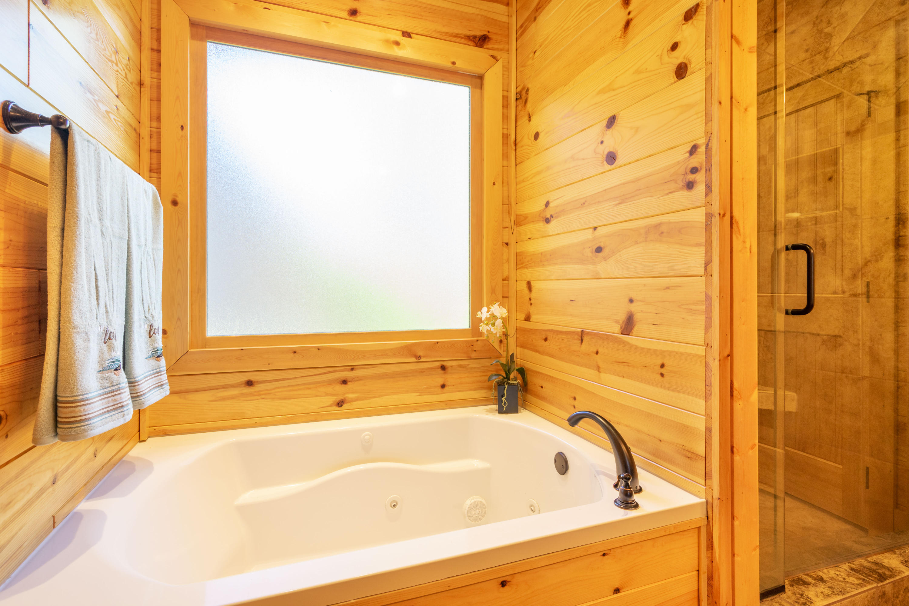 622 Fox Trail Road Jasper, TN 37347 - Photo 19 of 38 Soaking Tub
