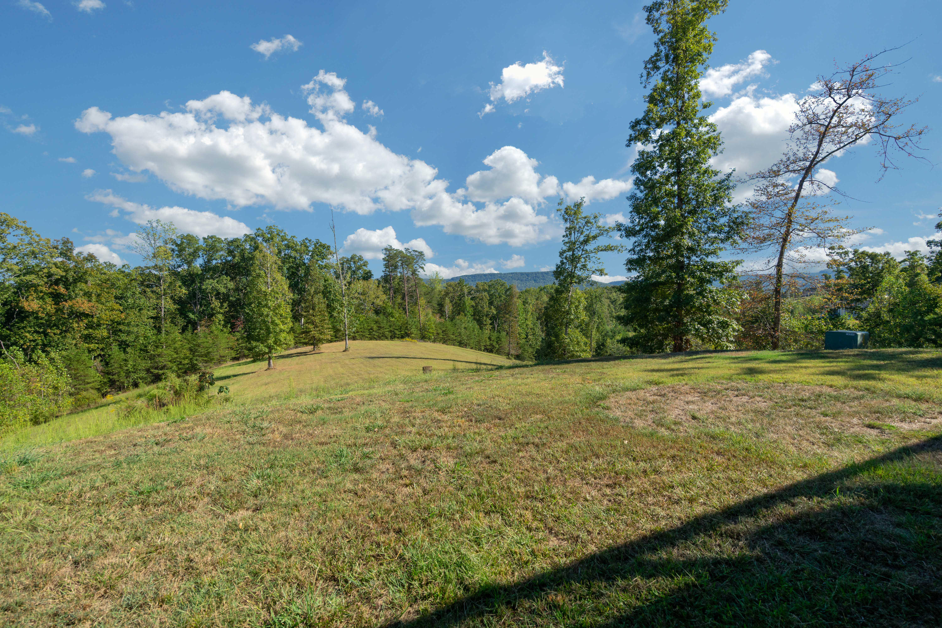622 Fox Trail Road Jasper, TN 37347 - Photo 35 of 38 Yard