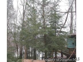 222 Deerfoot Road Lake Ariel, PA 18436 - Photo 3 of 5 Gallery Image 3