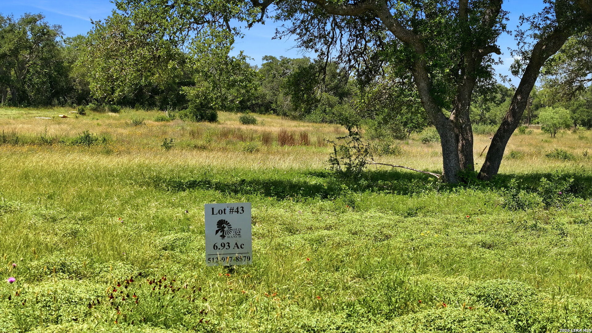 718 Windmill Ridge Drive Blanco, TX 78606 - Photo 11 of 32