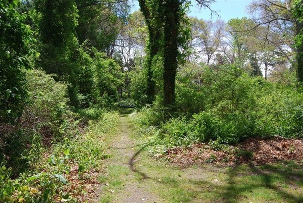 325 Shore Road Bourne, MA 02532 - Photo 5 of 9 Gallery Image 5