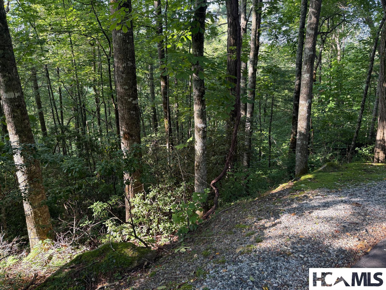 24 Wandering Ridge Cashiers, NC 28717 - Photo 5 of 30 Gallery Image 5