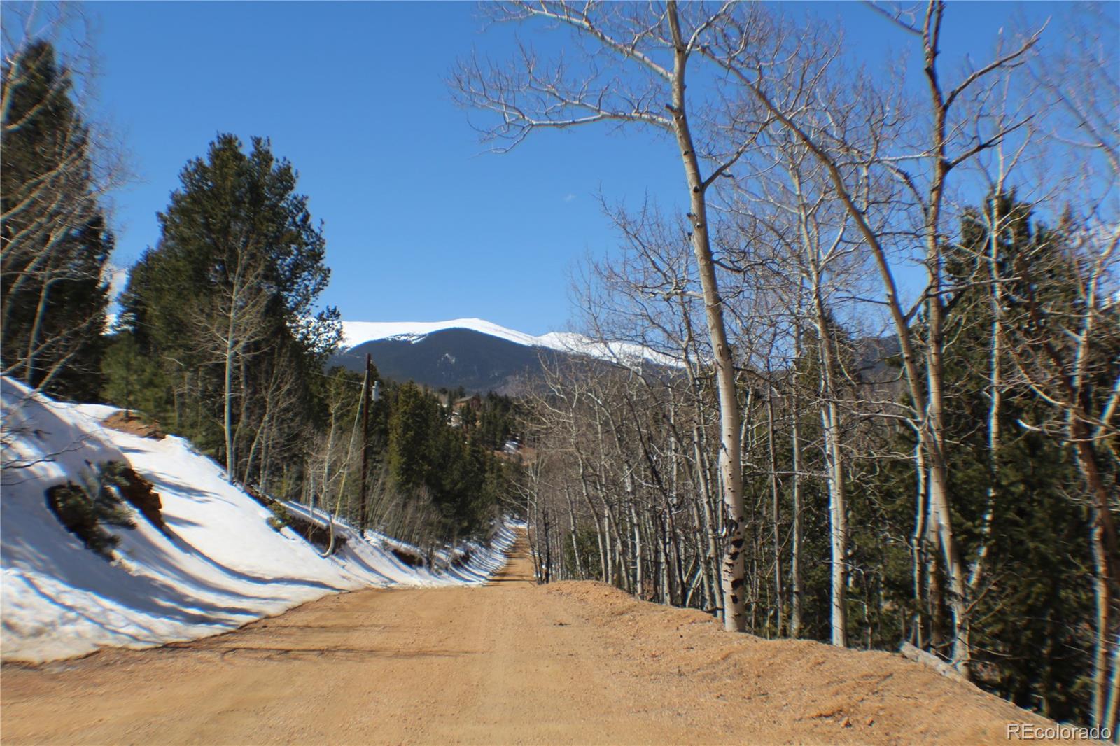 219 Wise Road Bailey, CO 80421 - Photo 2 of 6 a view of a backyard of the house