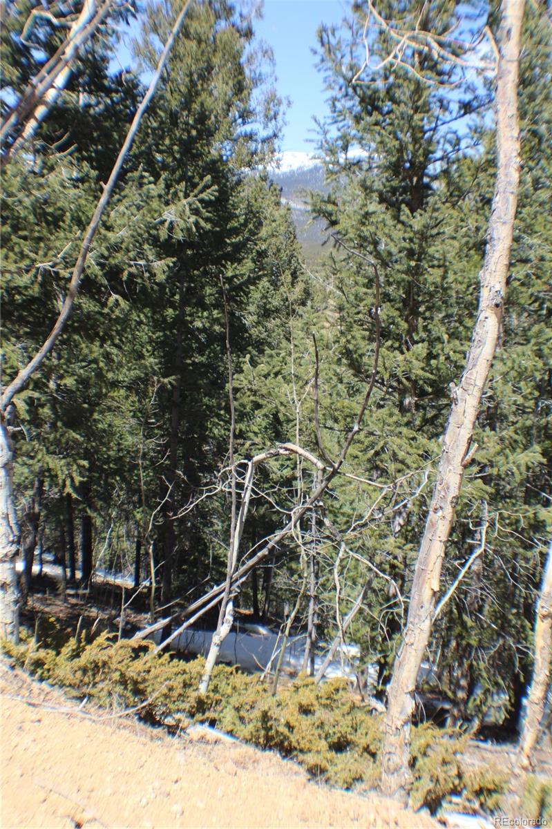 219 Wise Road Bailey, CO 80421 - Photo 3 of 6 a wooden bench with some trees