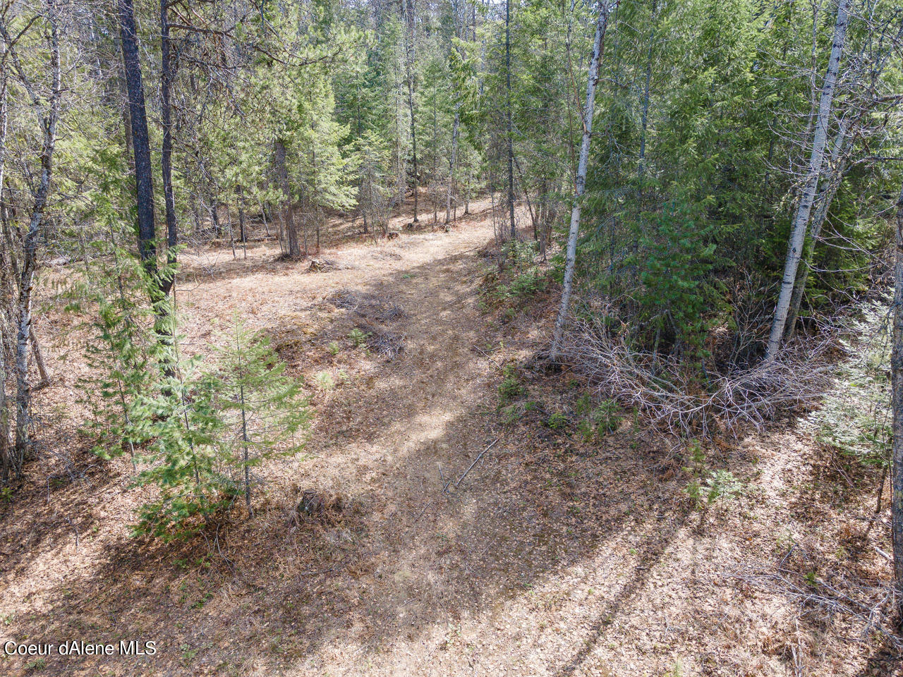 762 Geenen Road Cocolalla, ID 83813 - Photo 40 of 42 54-Property