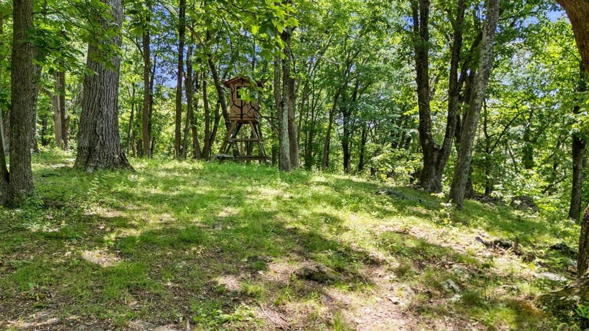 Lot 19-20 Hidden Hill Road Stanley, VA 22851 - Photo 18 of 20