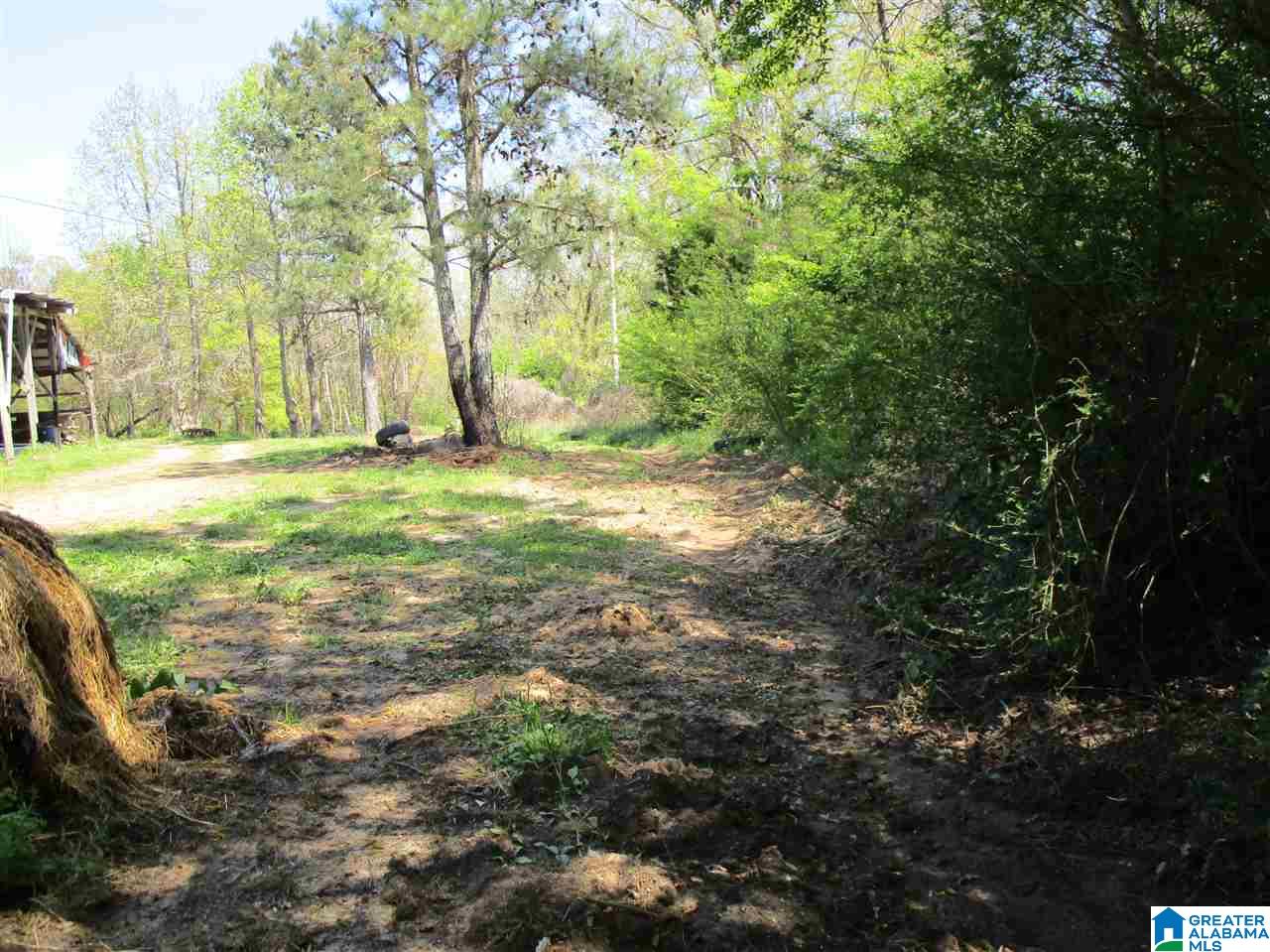 2553 Skyball Road Hayden, AL 35079 - Photo 26 of 33
