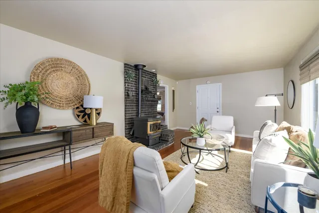 a living room with furniture a rug and a potted plant
