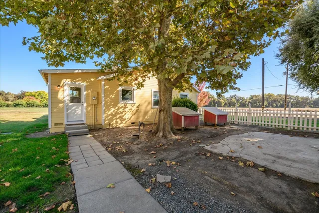 a view of a yard with plants and tree