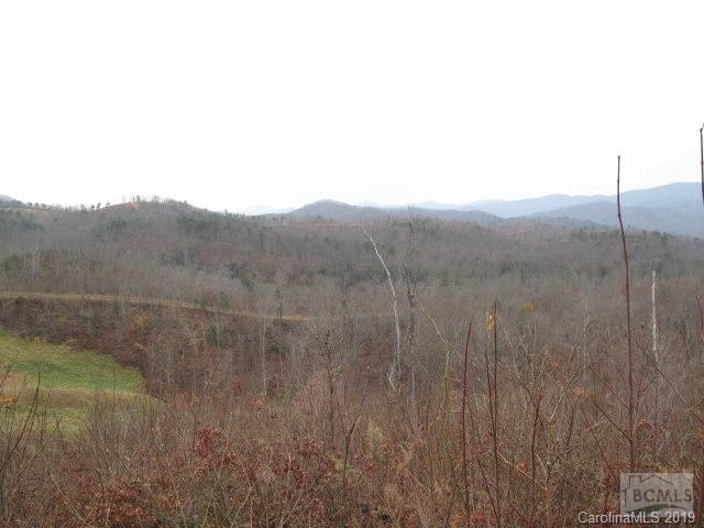 55 Wild Ridges Marion, NC 28752 - Photo 9 of 9 Gallery Image 9