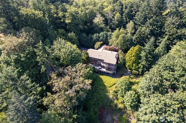 a view of a garden with plants