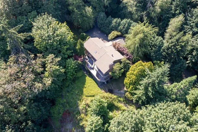 an aerial view of a house with a yard and large trees