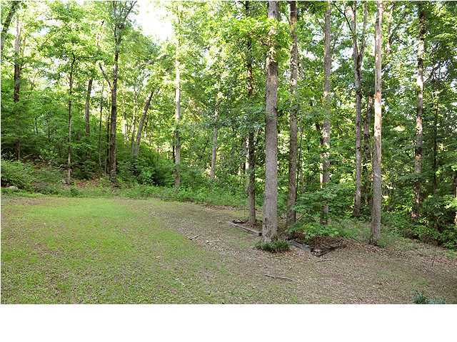 2049 Nickajack Road Flintstone, GA 30725 - Photo 22 of 35 Additional Photo