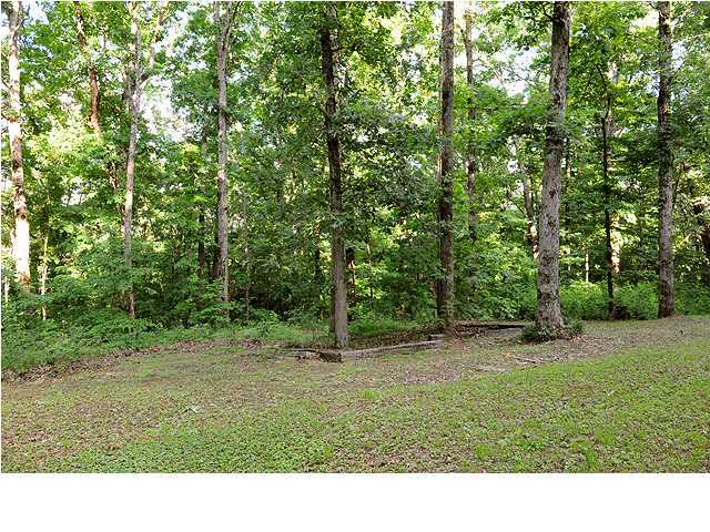 2049 Nickajack Road Flintstone, GA 30725 - Photo 28 of 35 Additional Photo