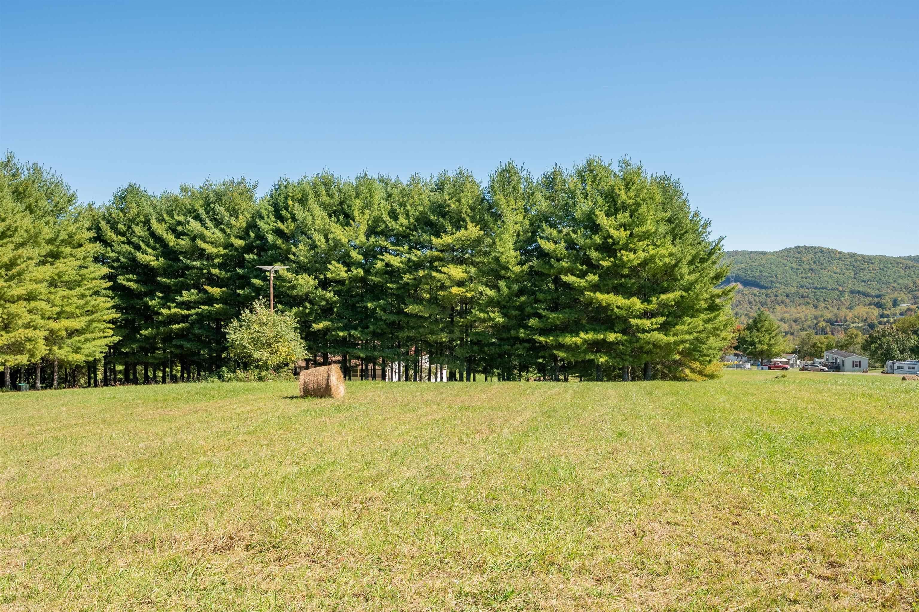 421 Mountain View Road Barren Springs, VA 24313 - Photo 56 of 64 Gallery Image 56