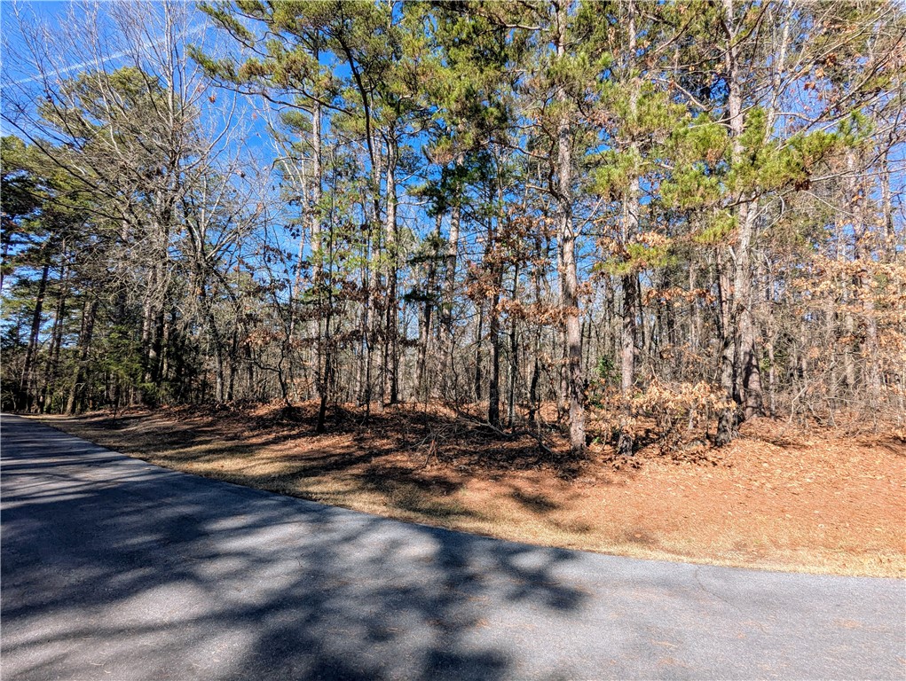 2 Pine Garden Circle Salem, SC 29676 - Photo 3 of 22 Level Corner Lot
