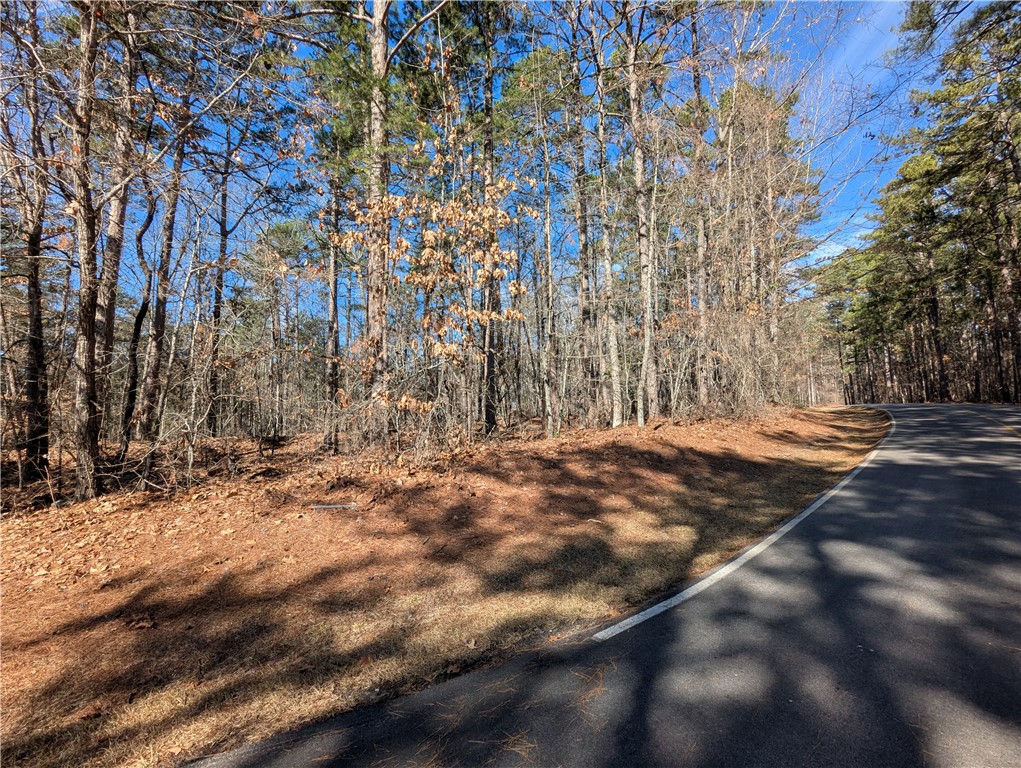 2 Pine Garden Circle Salem, SC 29676 - Photo 4 of 22