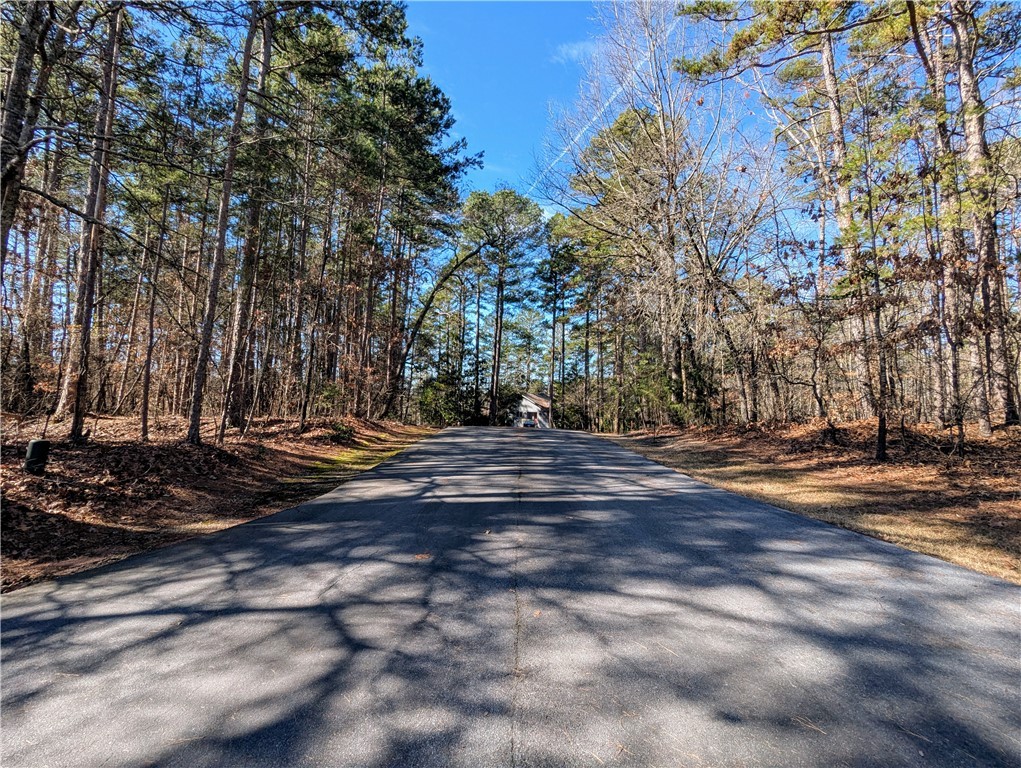 2 Pine Garden Circle Salem, SC 29676 - Photo 5 of 22
