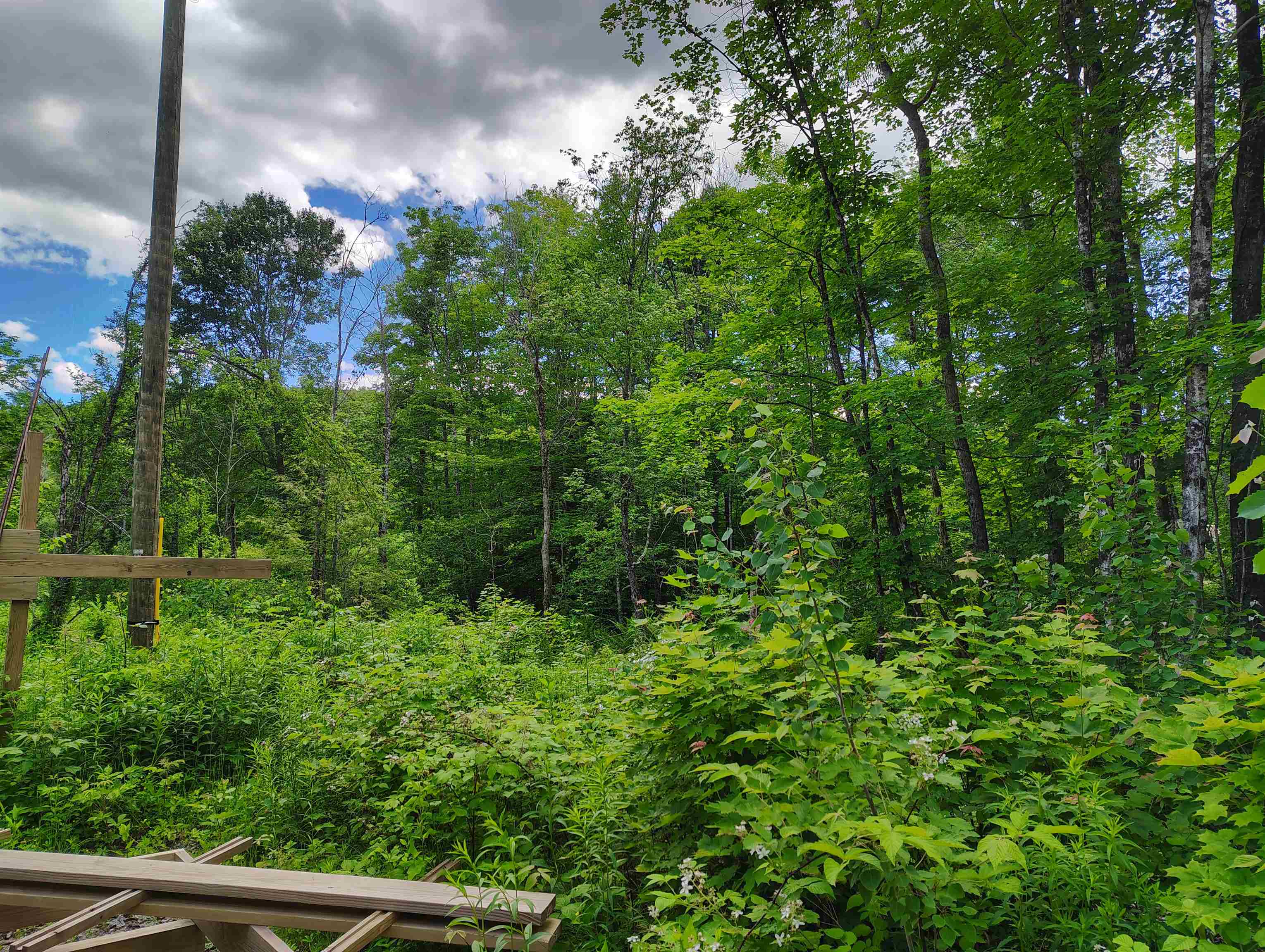12 Frescoln Road Wentworth, NH 03282 - Photo 6 of 9