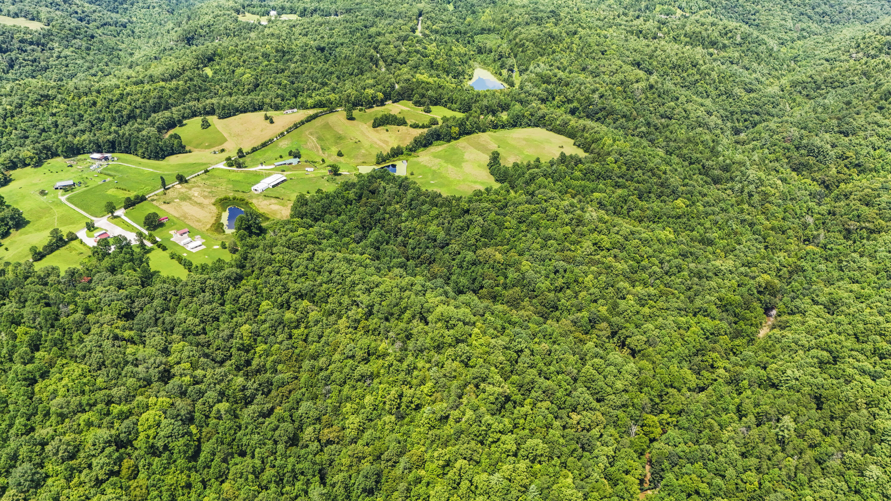 5119 Shoemaker Ridge Zoe, KY 41397 - Photo 3 of 46 DJI_20250806135515_0046_D