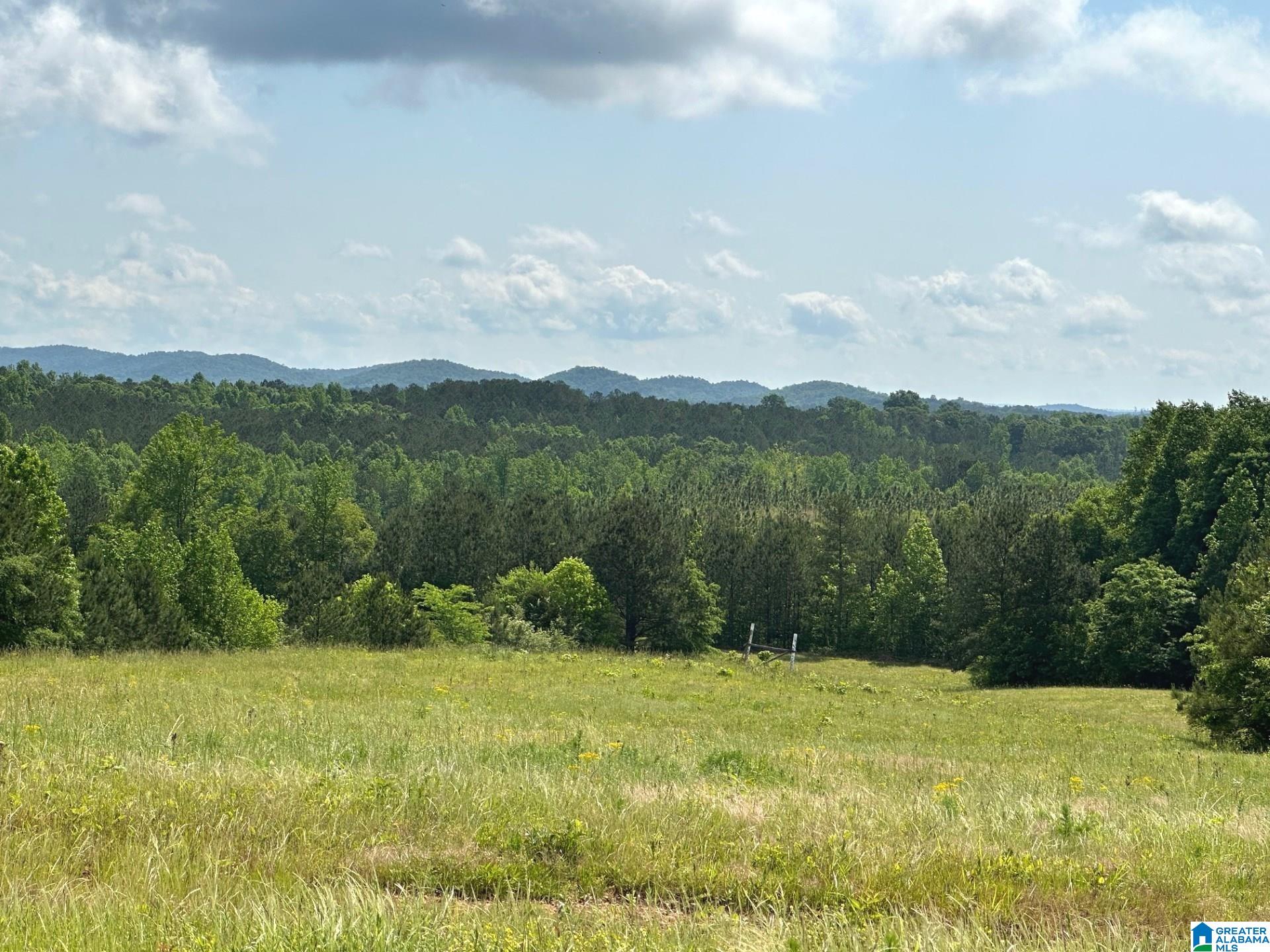 Oaks Chapel Road, Unit 76 Goodwater, AL 35072 - Photo 18 of 25